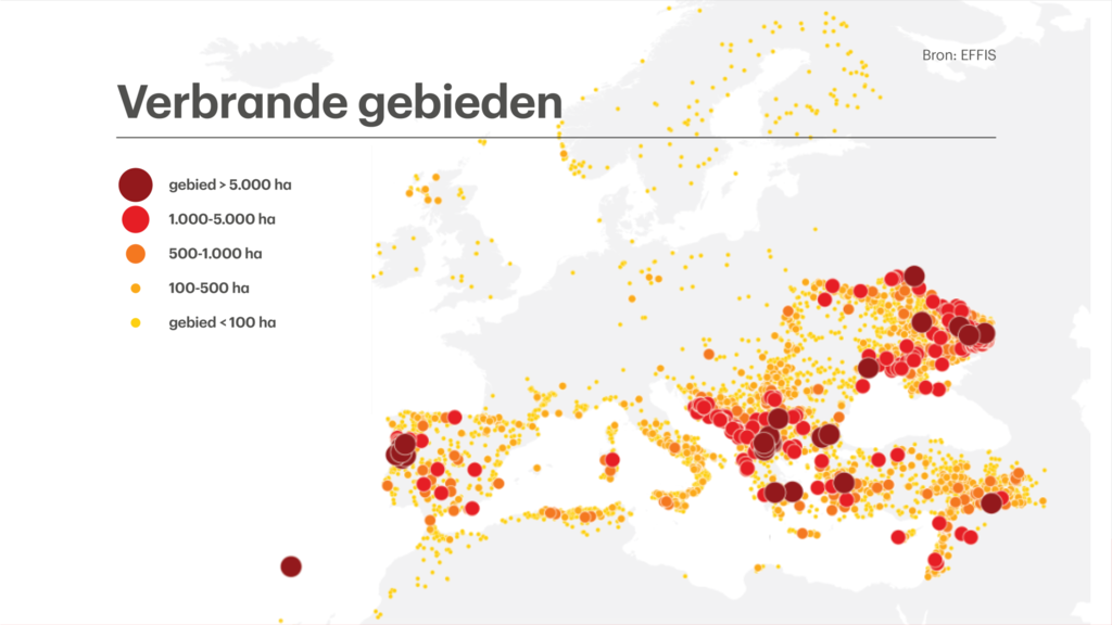 Incendies de forêt en Europe en 2024
