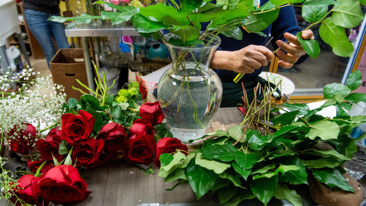 Les parents d'Emmy en quête de justice après le décès de leur fille.