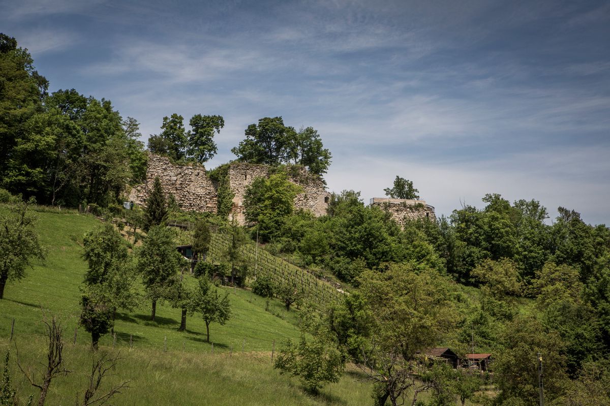 Ruine Wartenberg à Muttenz entourée de végétation verte sous un ciel nuageux, prise le 27 mai 2016