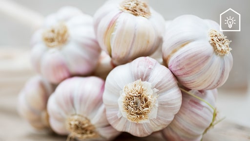 Ail utilisé de manière originale