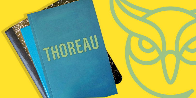 Cette citation de Thoreau invite à repenser notre rapport à l’environnement, en valorisant la liberté et la croissance spontanée des forêts plutôt que la propriété privée et la domestication de la terre.