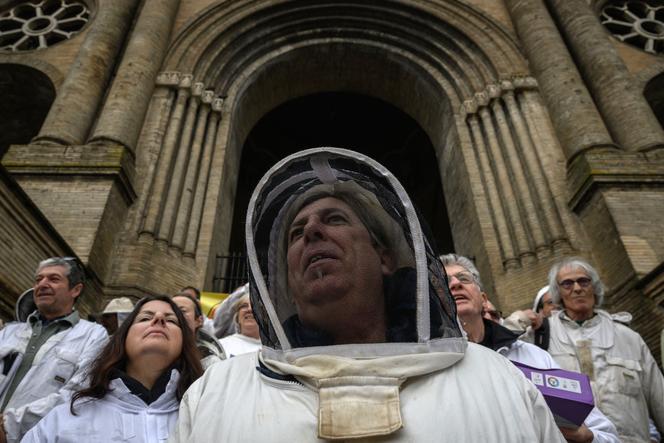 Lors d’un rassemblement d’apiculteurs contre la loi Duplomb, sur un marché de Toulouse, le 27 avril 2025.