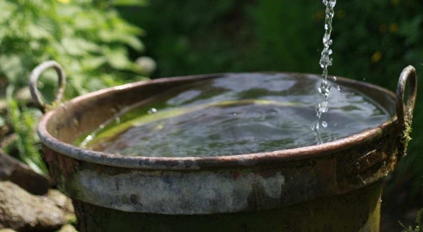 Étude sur la transmission bactérienne via l'eau potable