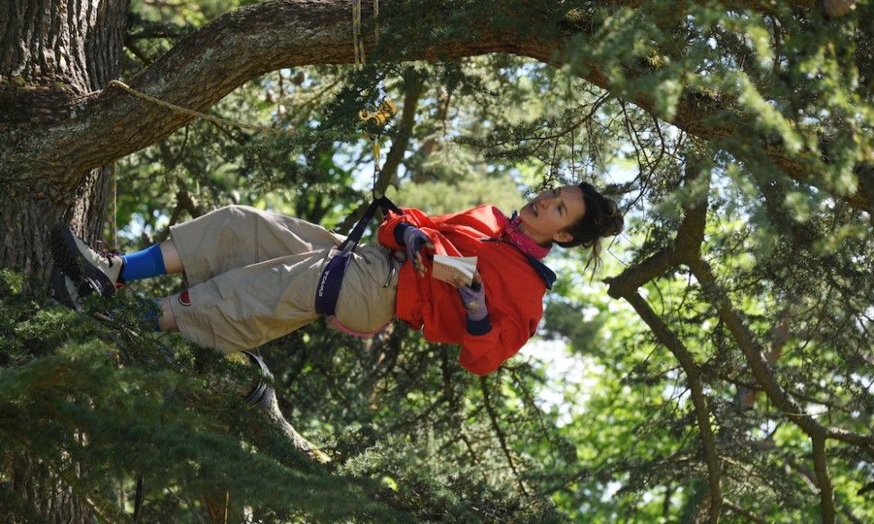 Personne allongée sur une branche d’arbre, équipée d’un harnais de sécurité, entourée de feuillage vert.
