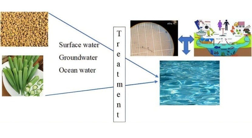 Extraction naturelle pour éliminer les microplastiques