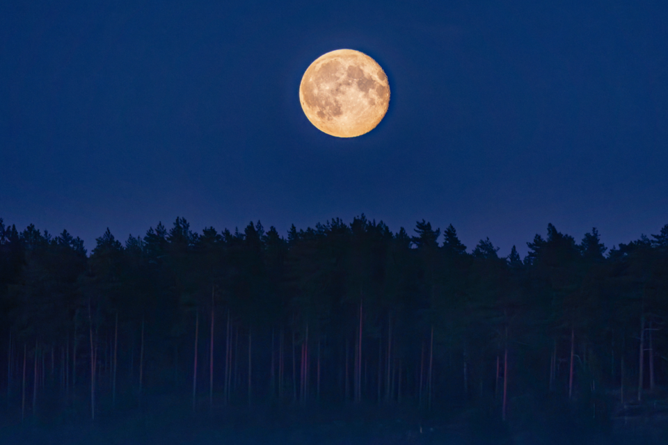 La pleine lune tombe le 12 mai 2025.