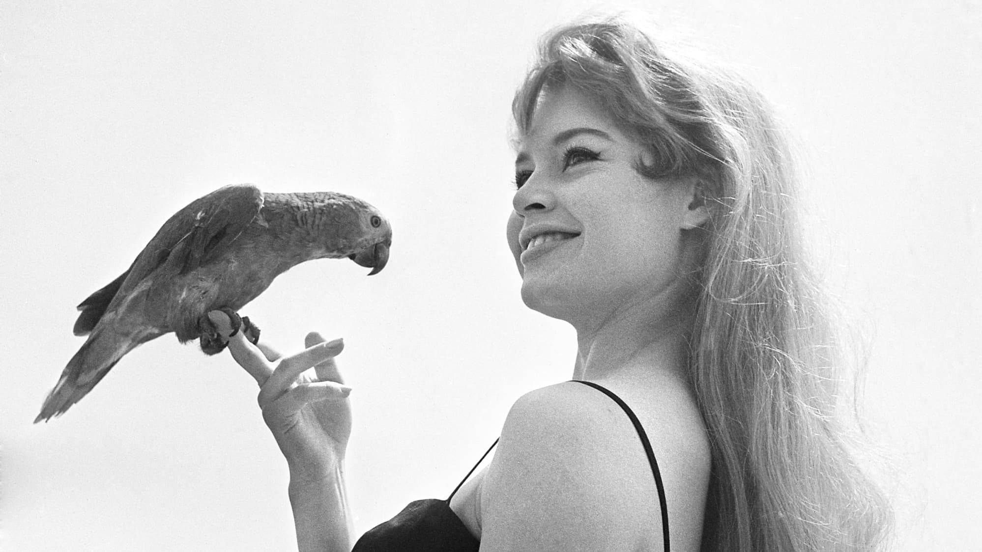 Brigitte Bardot au festival de Cannes en 1956