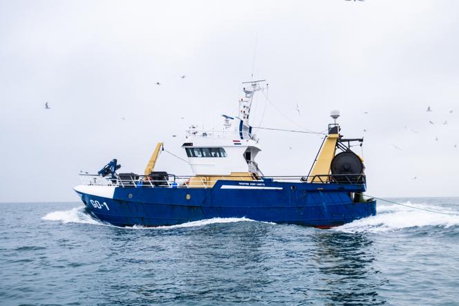 Un chalutier navigue dans la Manche, près de Dunkerque, le 12 décembre 2024.