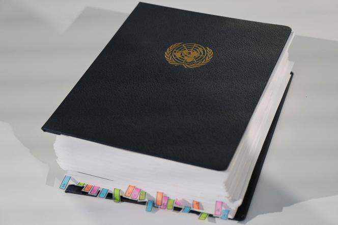 Le traité BBNJ, à Nice, le 9 juin 2025.