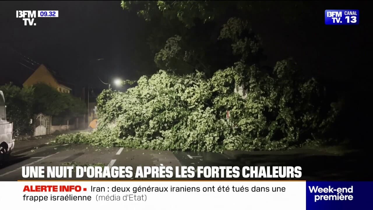 Arbre frappé par la foudre et tombant sur un pavillon dans les Yvelines