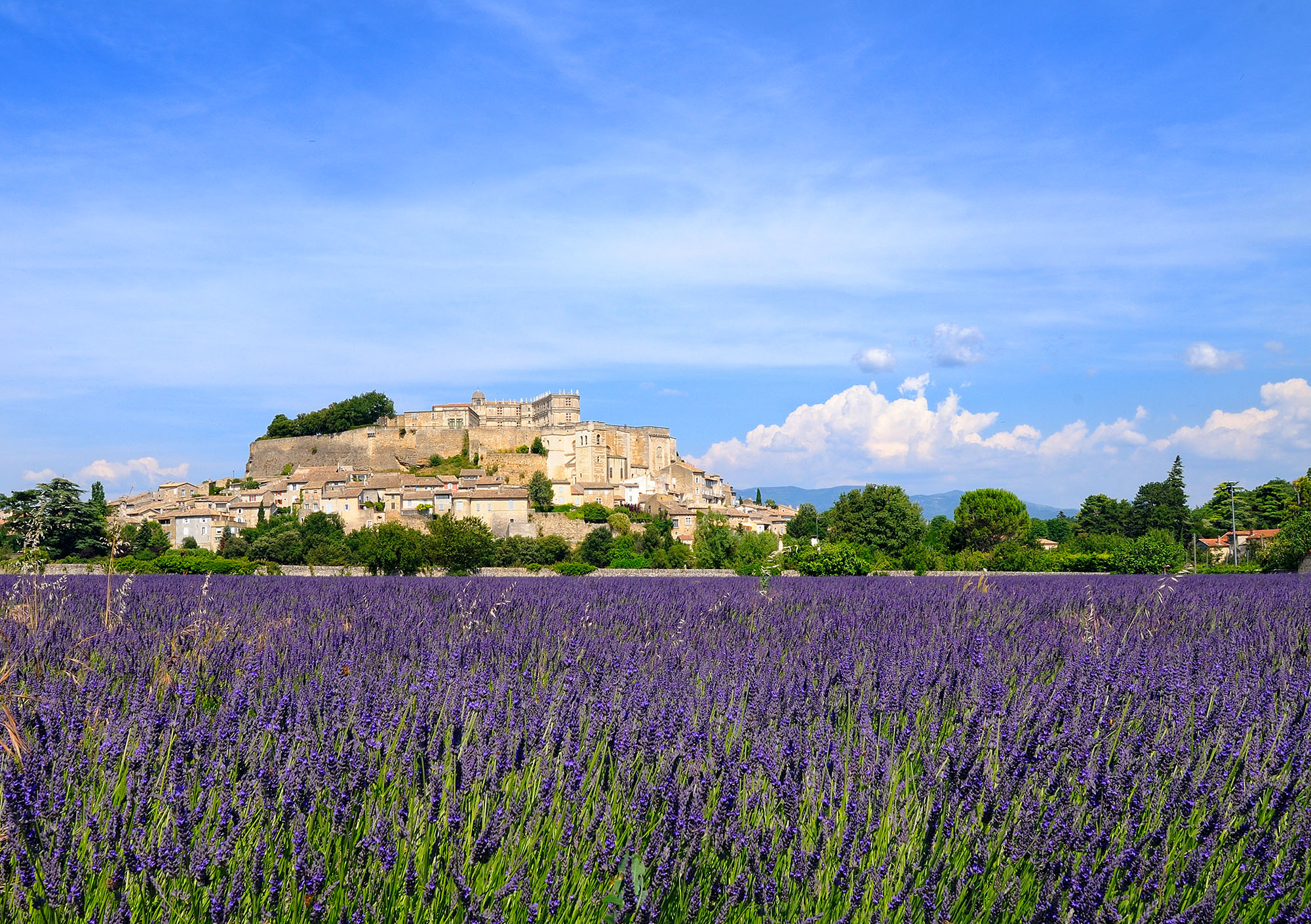 La lavande, de Montélimar à Grignan La lavande, de Montélimar à Grignan