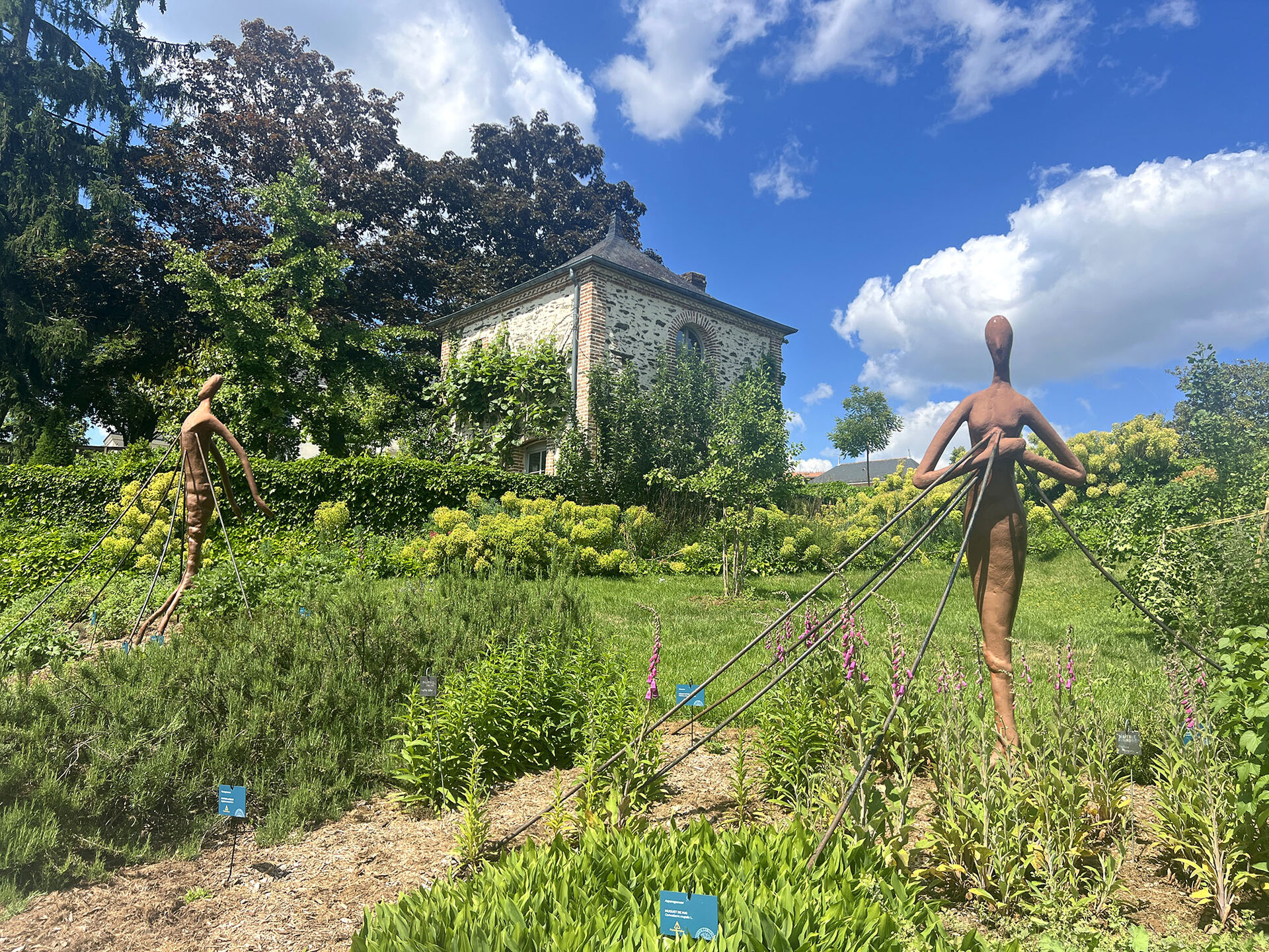 Camifolia, pour se mettre dans la peau d’un botaniste Camifolia, pour se mettre dans la peau d’un botaniste