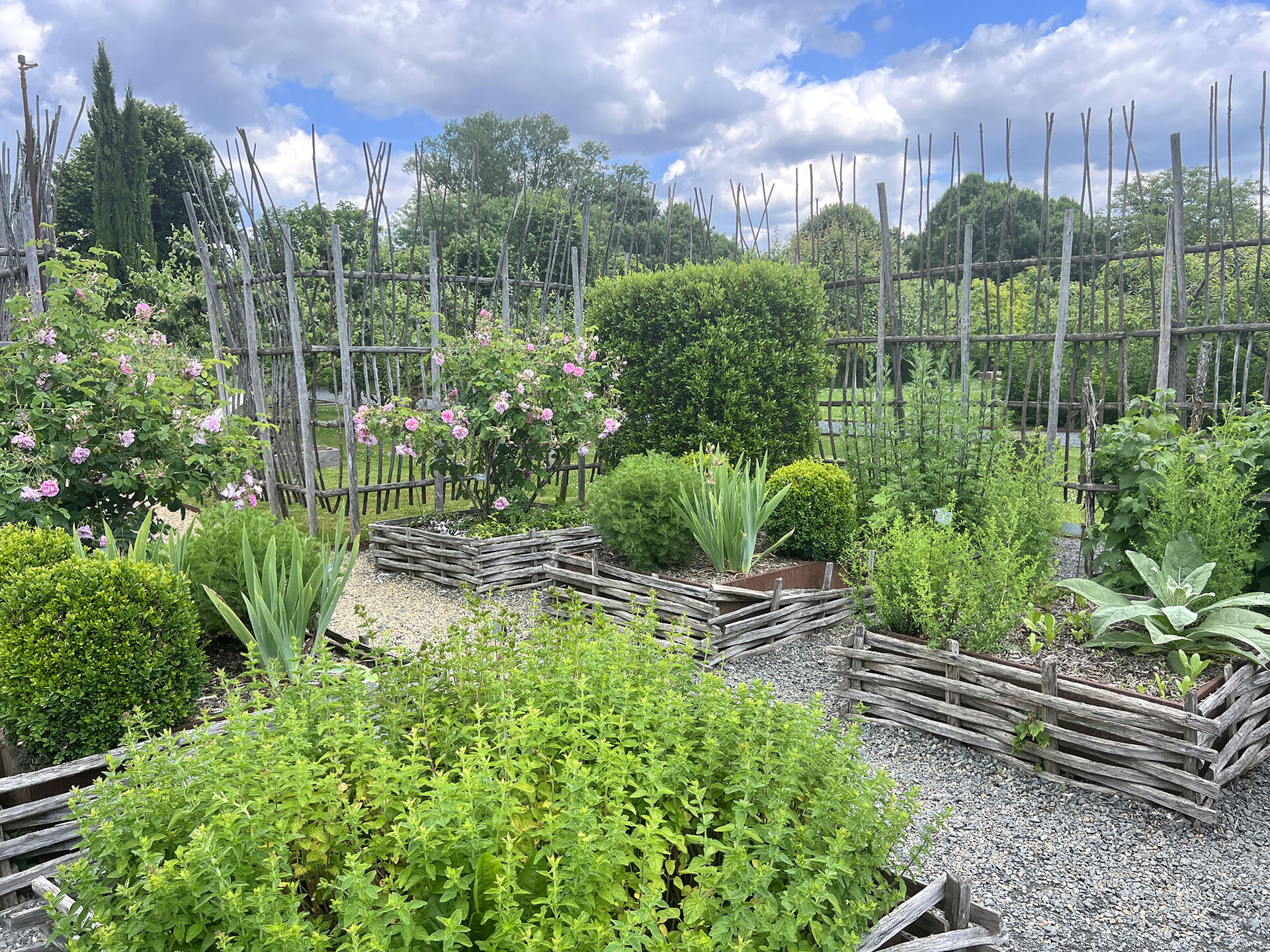 Le jardin médicinal - Puygirault Le jardin médicinal - Puygirault