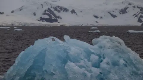 Des scientifiques mesurant les changements dans la glace de l'Antarctique