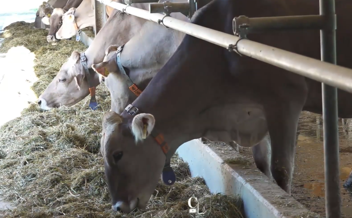 Frottement sur barre