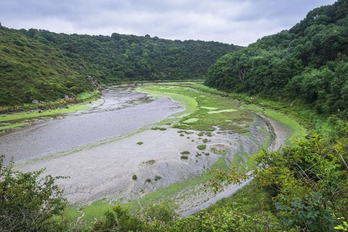 Le Gouessant est un cours d'eau situé dans les Côtes-d'Armor. Depuis des décennies, il est pollué par les nitrates et voit les algues vertes s'accumuler. Ici en 2021.