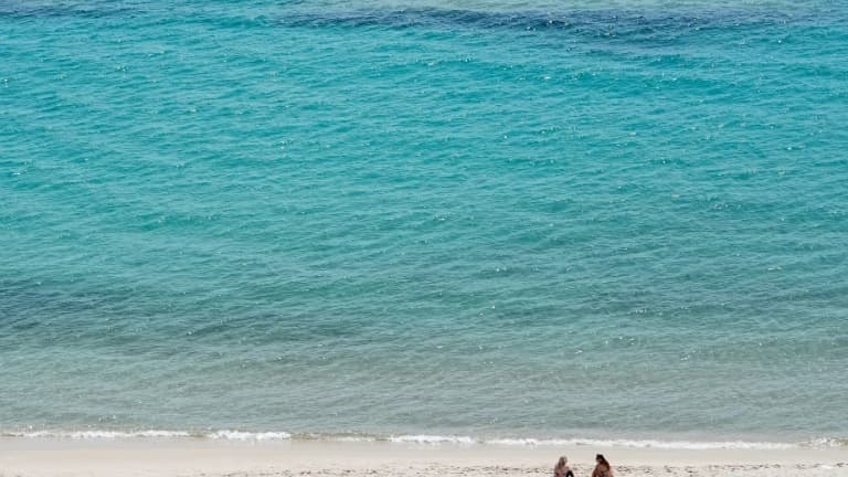 La Méditerranée en état de réchauffement extrême