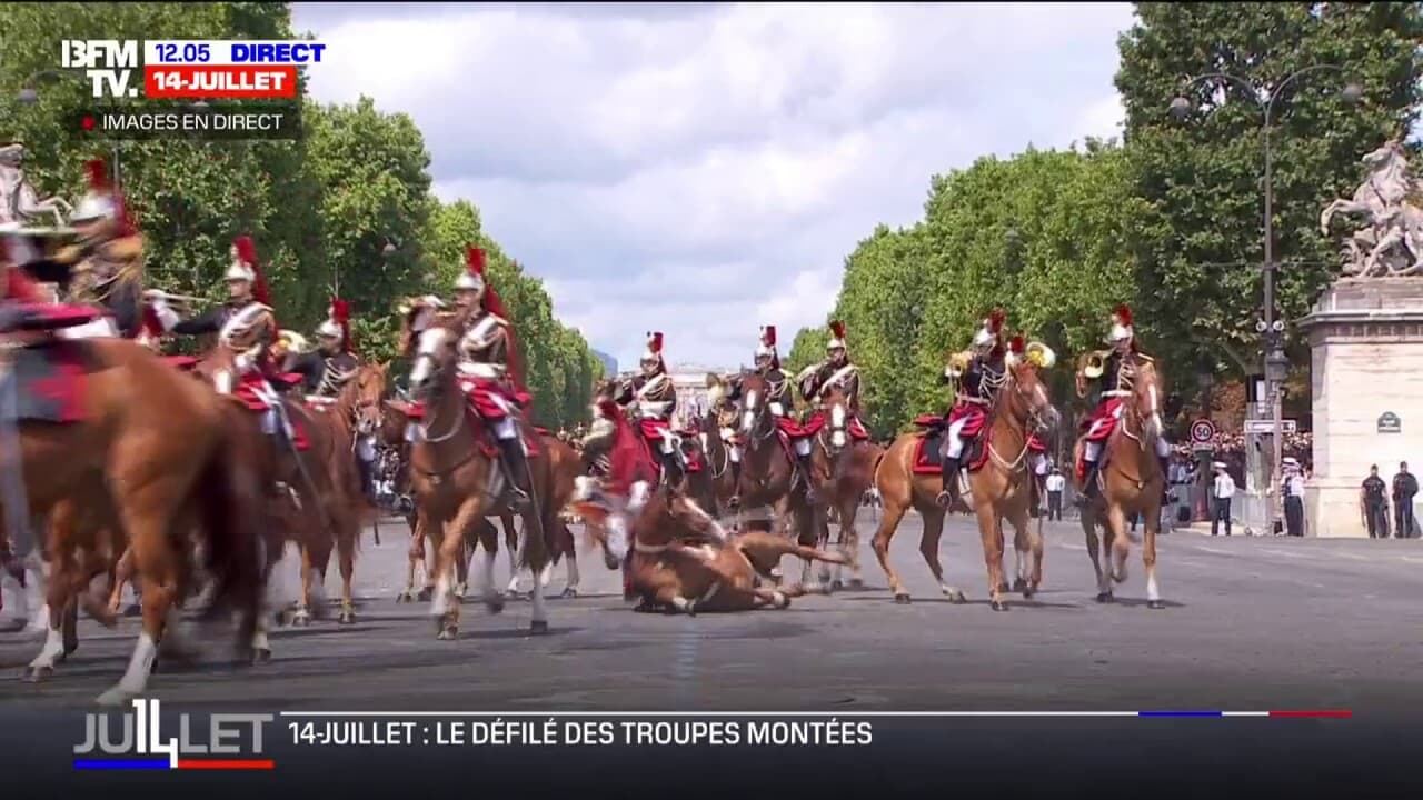 Cheval chutant lors du défilé du 14-Juillet sur les Champs-Élysées