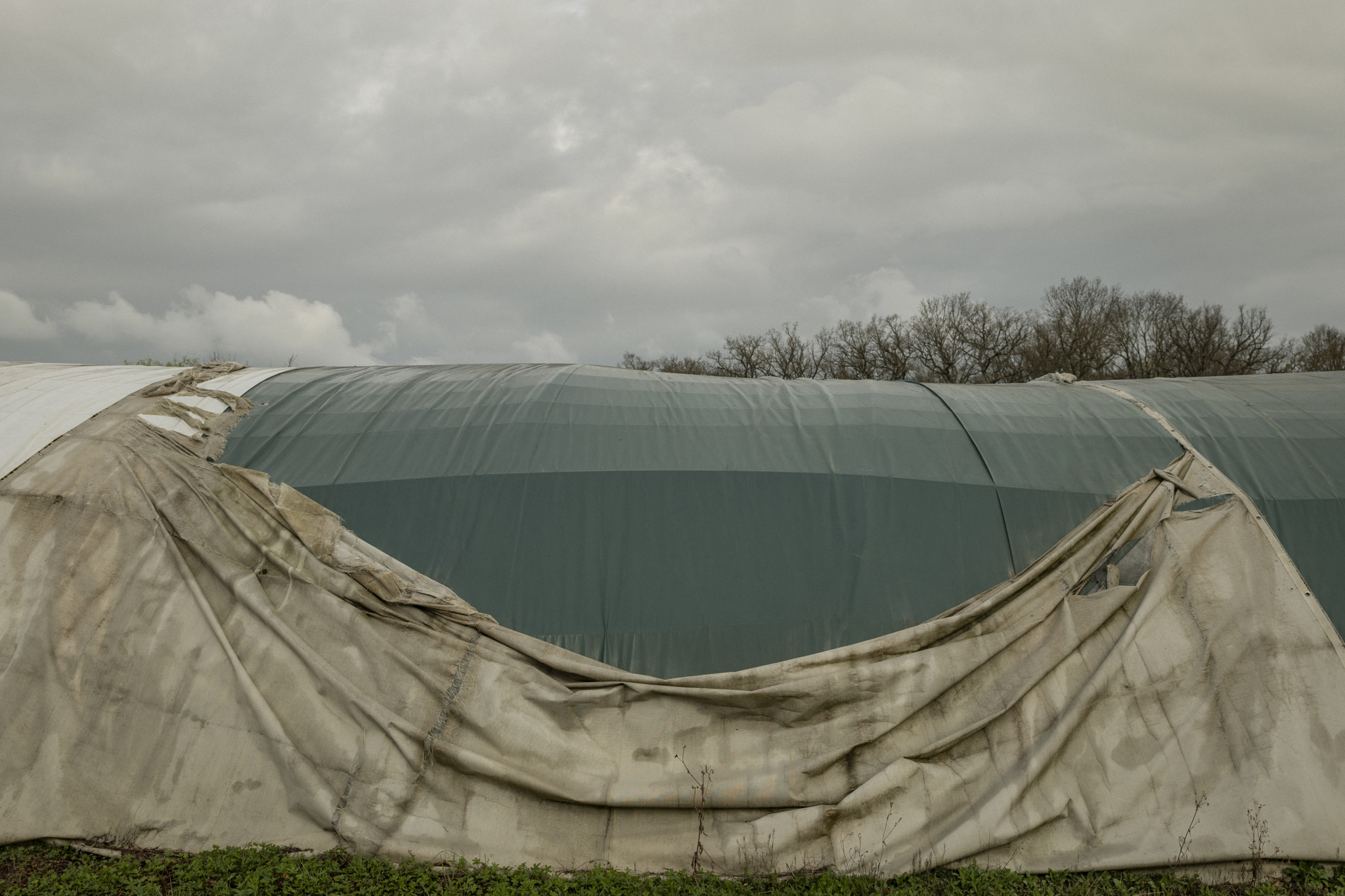 Serres maraîchères à Troinex Des serres maraîchères à Troinex, près de la frontière franco-suisse, sous un ciel nuageux.