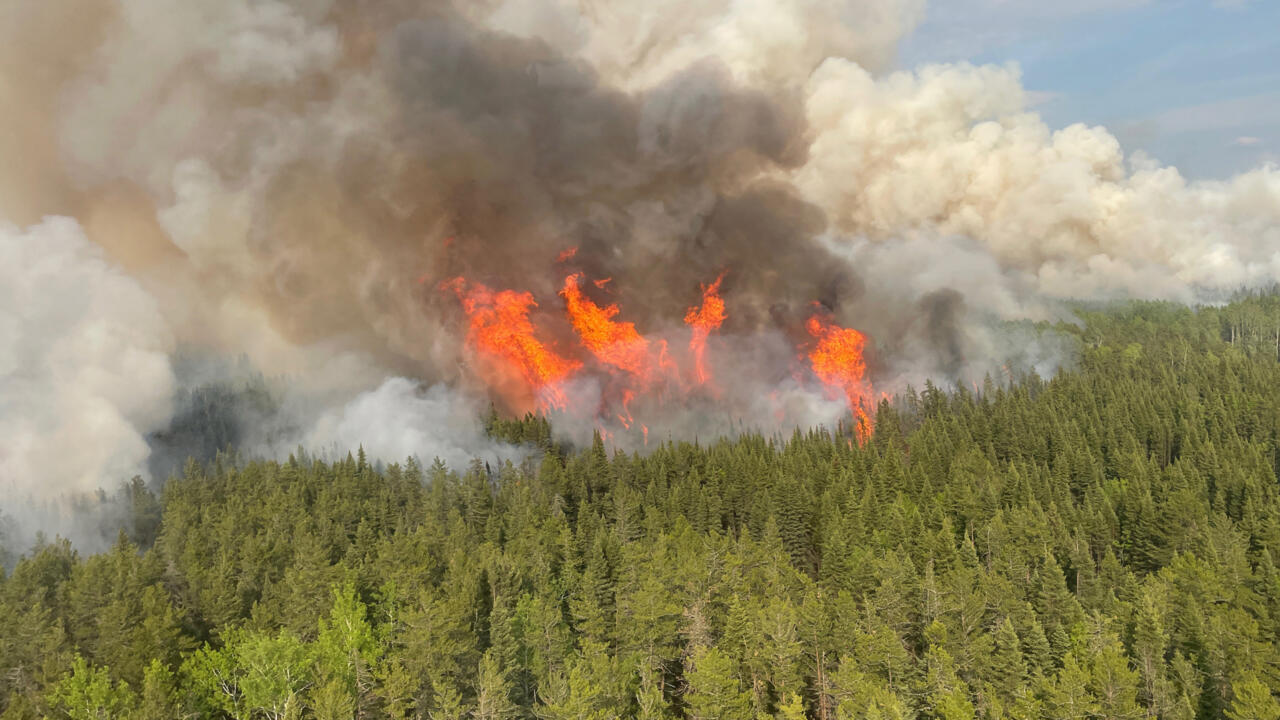 Feu actif dans le nord de l'Ontario, le 15 juin 2025 au Canada