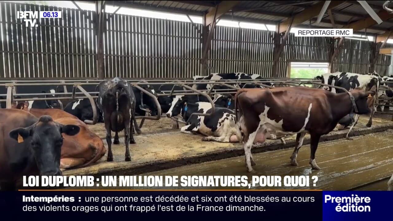 Plus d'un million de signatures contre la loi Duplomb