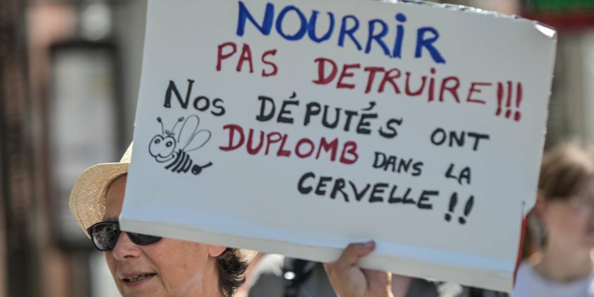 Manifestation contre la loi Duplomb à Paris