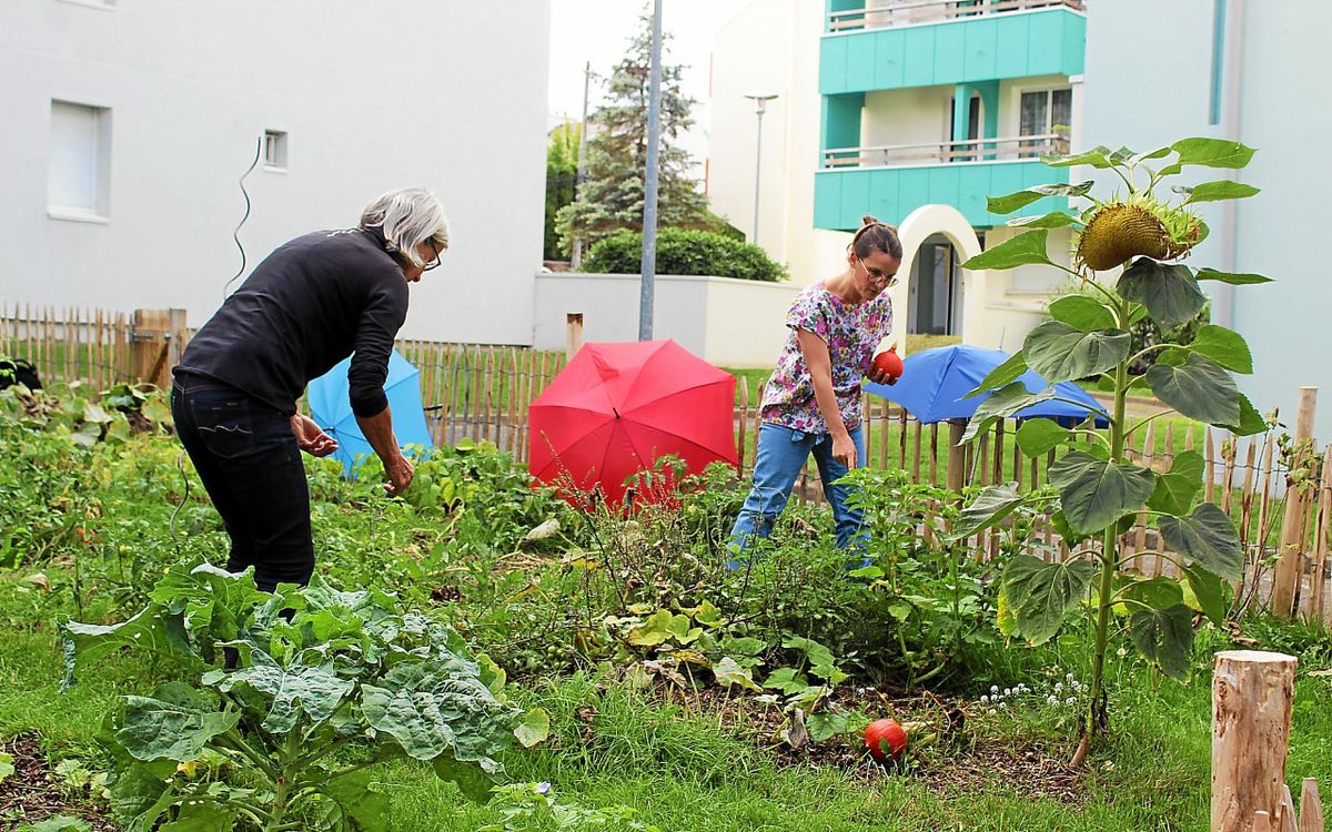 Animation estivale dans le pays de Brest