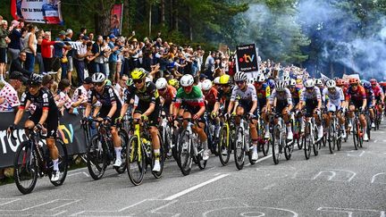 Le peloton sur la 1re étape du Tour de France femmes, le 26 juillet 2025. (RONAN HOUSSIN / AFP)