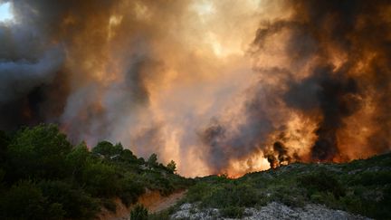 Un incendie touche la forêt près de Fontjoncouse dans l'Aude le 6 août 2025 (LIONEL BONAVENTURE / AFP)