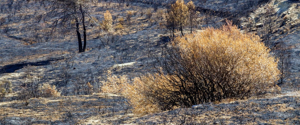 Incendie dans l’Aude – vue aérienne des flammes