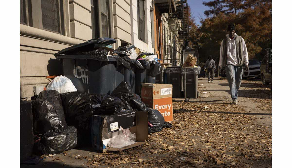 Rats et lutte urbaine à New York