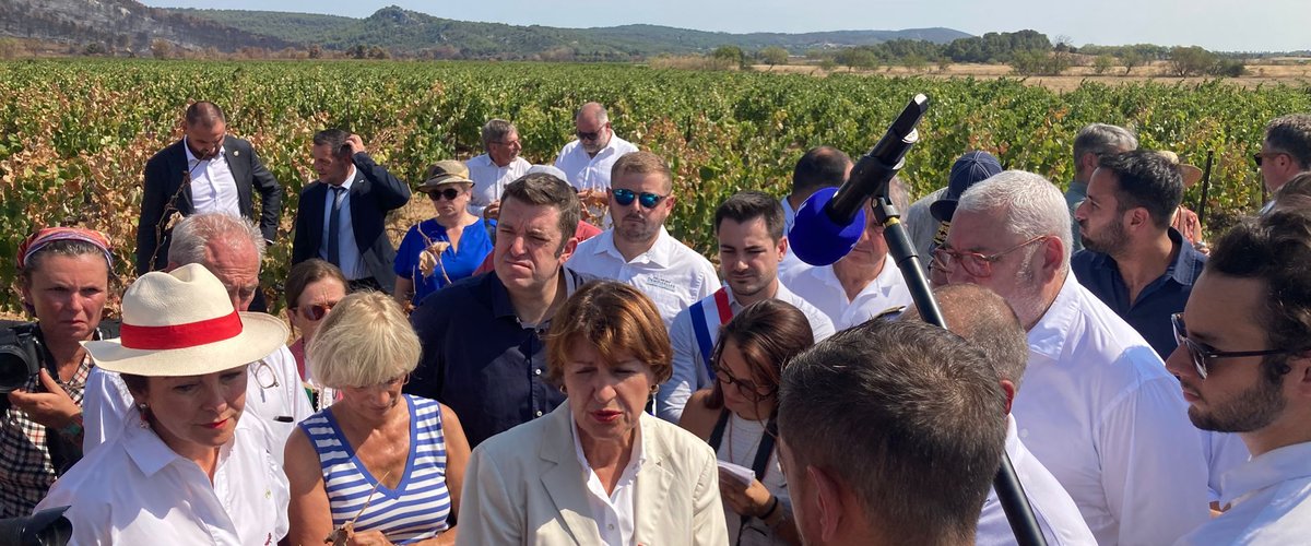 Visite d’une parcelle viticole touchée par l’incendie dans l’Aude