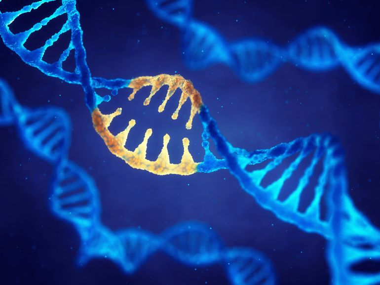 Représentation cellulaire et analyse génétique