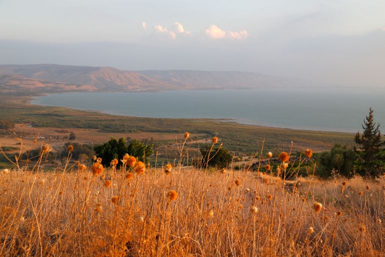 Rivage nord du lac de Tibériade