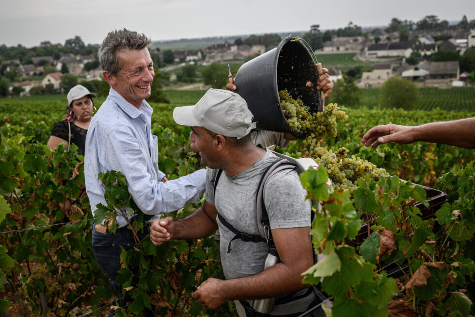 Stéphane Follin-Arbelet avec des vendangeurs