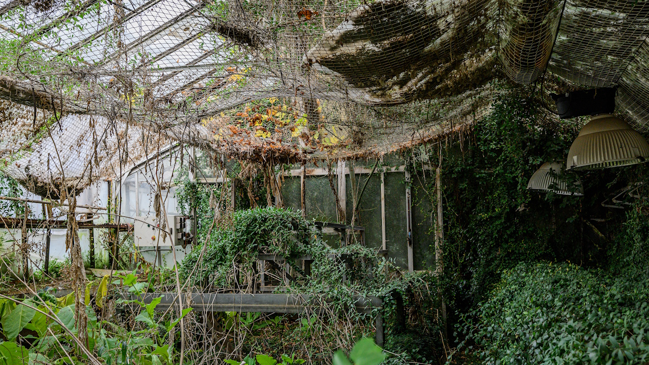 Petites serres du Parc de la Tête d’Or, Lyon