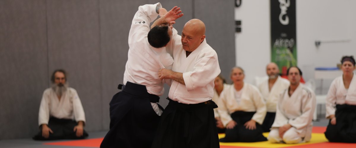 Forum des associations à Millau, tatamis et initiations
