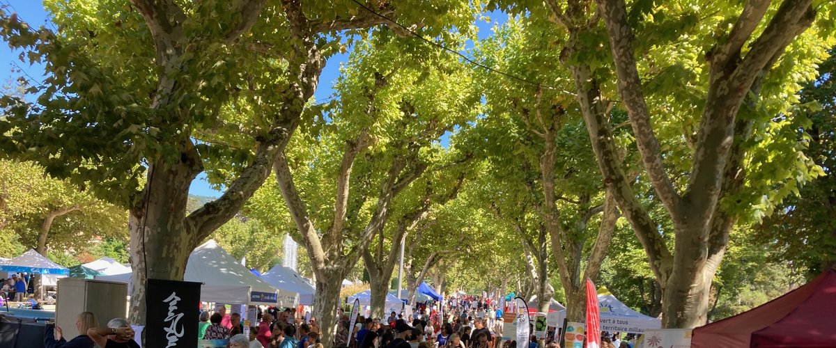 Parc de la Victoire lors du forum des associations à Millau