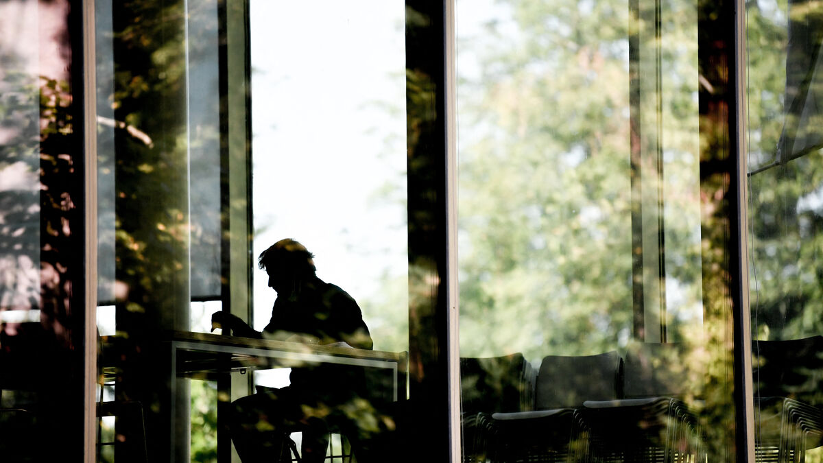 Graphique sur l'emploi en alternance en France