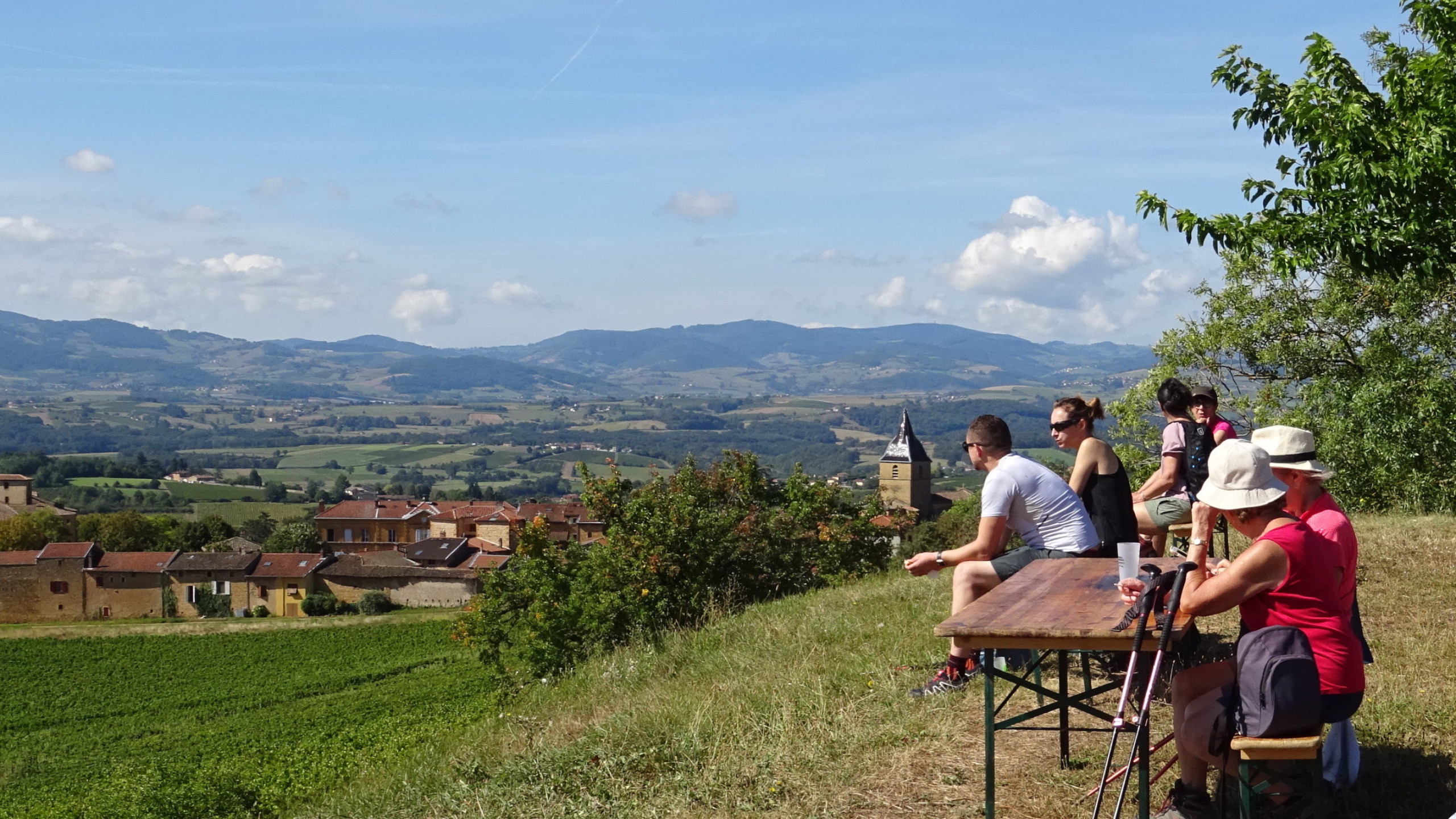 Randonnée des vendanges dans le Beaujolais