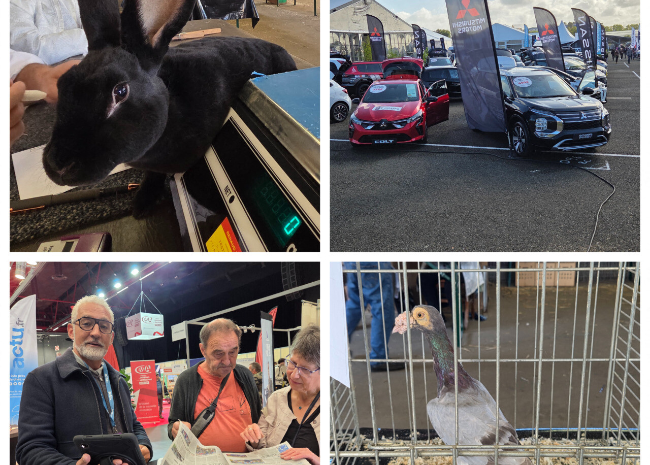 Stands et animations à la Foire du Mans