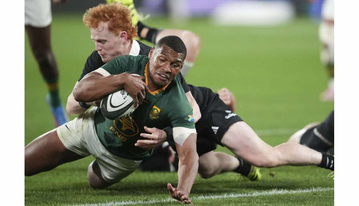 Springboks contre All Blacks à Wellington