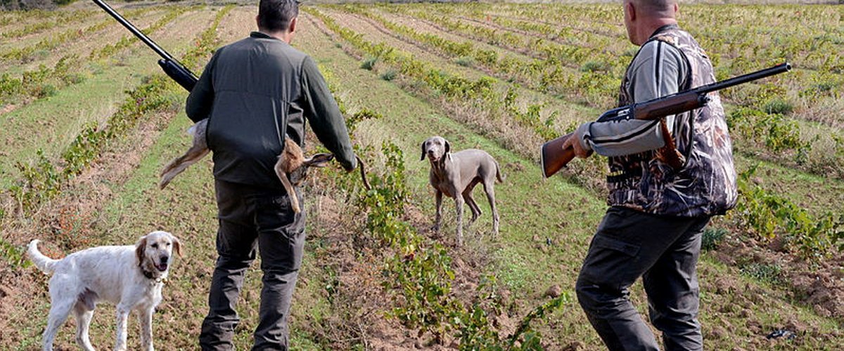 Chasseur dans un paysage forestier lors de l'ouverture
