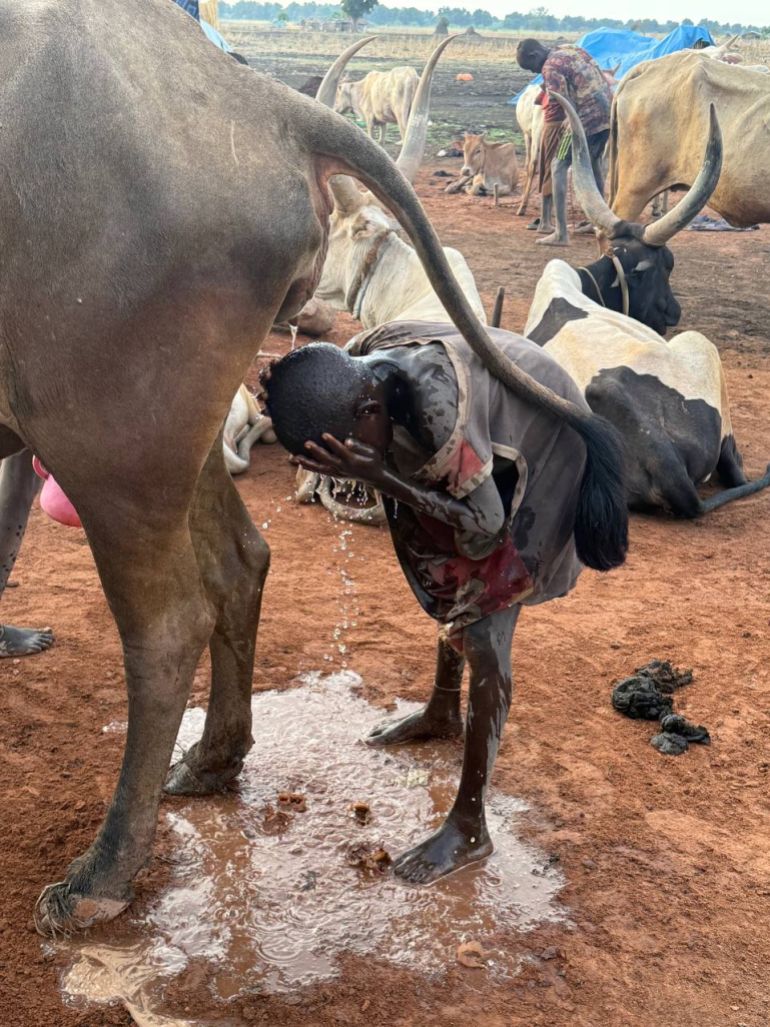Garçon Dinka teignant ses cheveux avec de l'urine de vache dans un camp à bétail