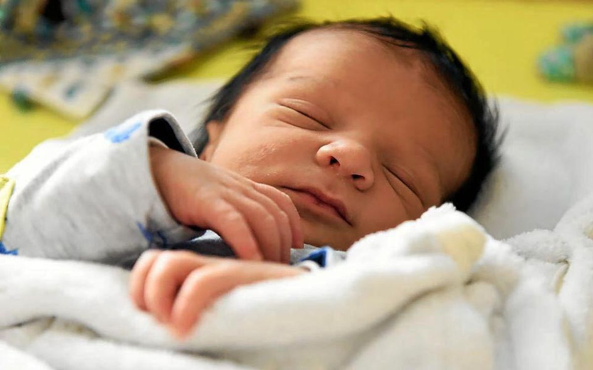 Extraits de bulletins d'état civil à Vannes et Auray