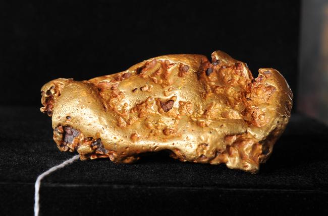 Specimens d’or et vitrines au musée