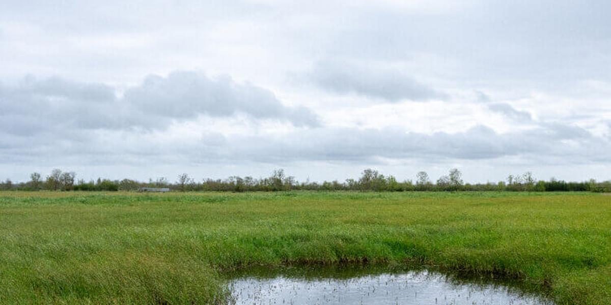 Estuaire de la Charente à Rochefort photographié