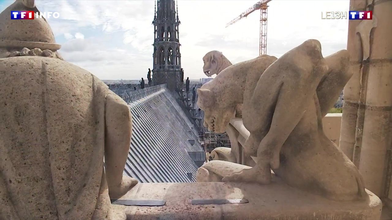 Vue des tours de Notre-Dame après réouverture