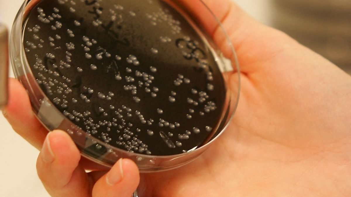 Investigation sanitaire en cours près d’Albertville