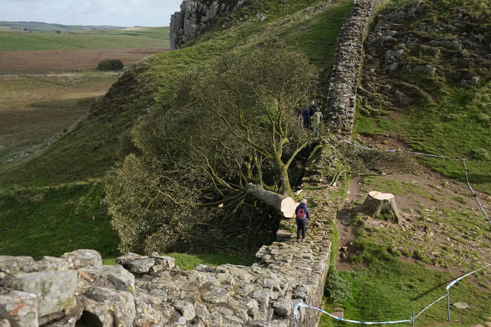 Site où se tenait le Sycamore Gap après l'abattage